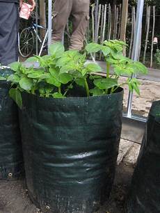 Food Sacks